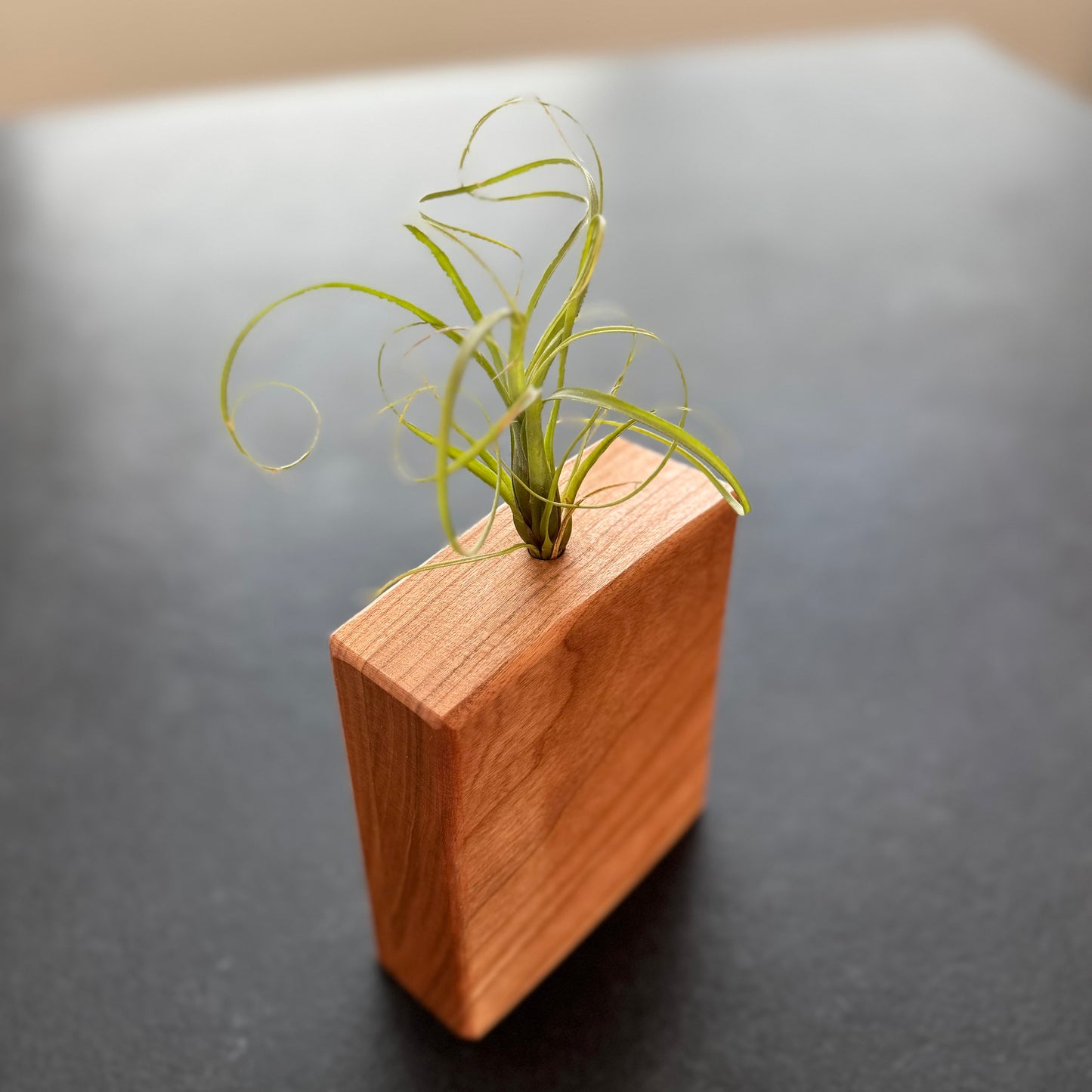 Handcrafted Wooden Vases