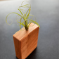 Handcrafted Wooden Vases