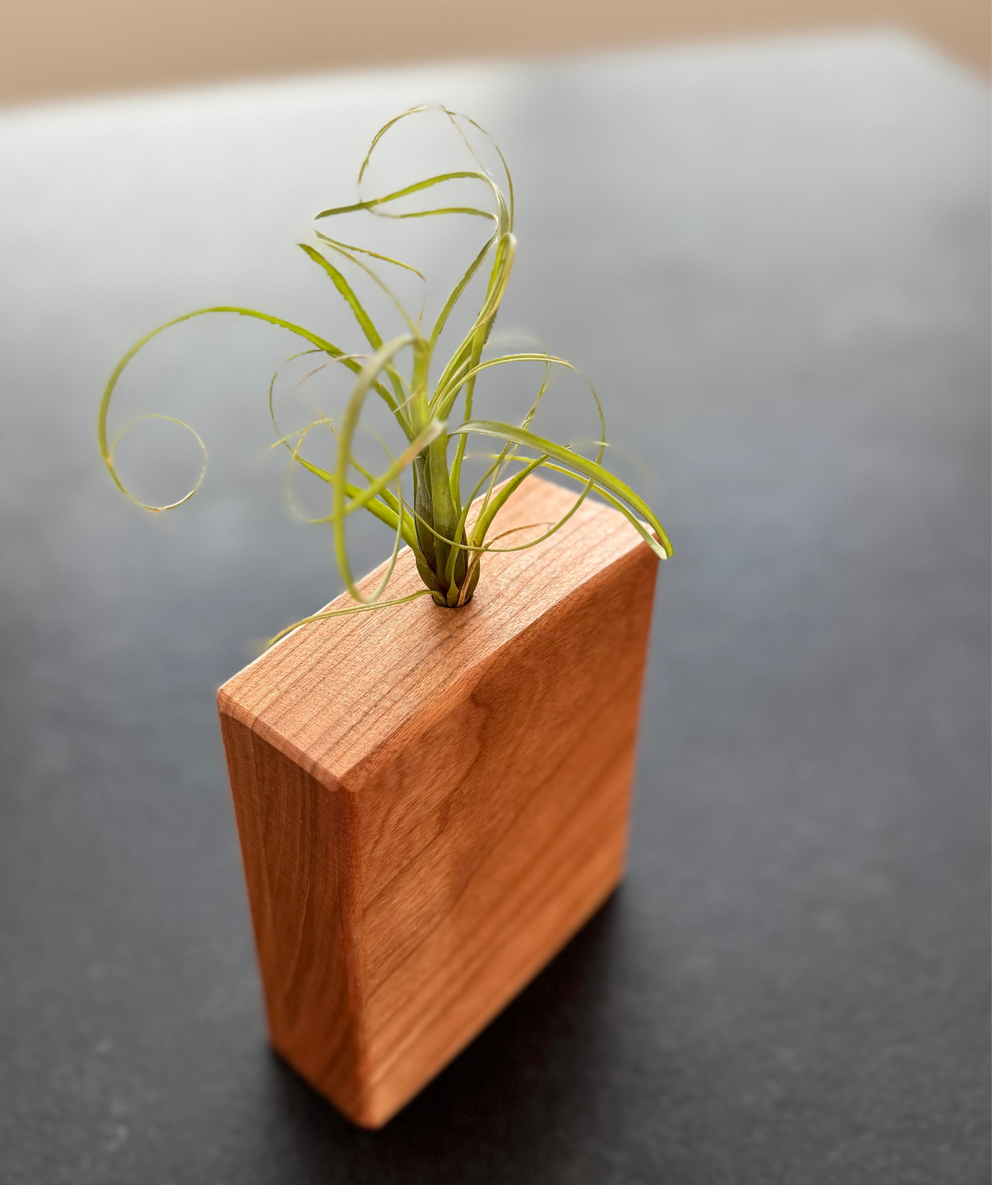 Handcrafted Wooden Vases