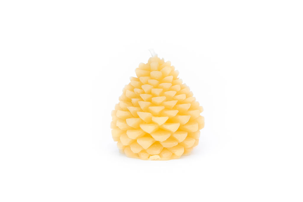 Pine Cone Beeswax Candle