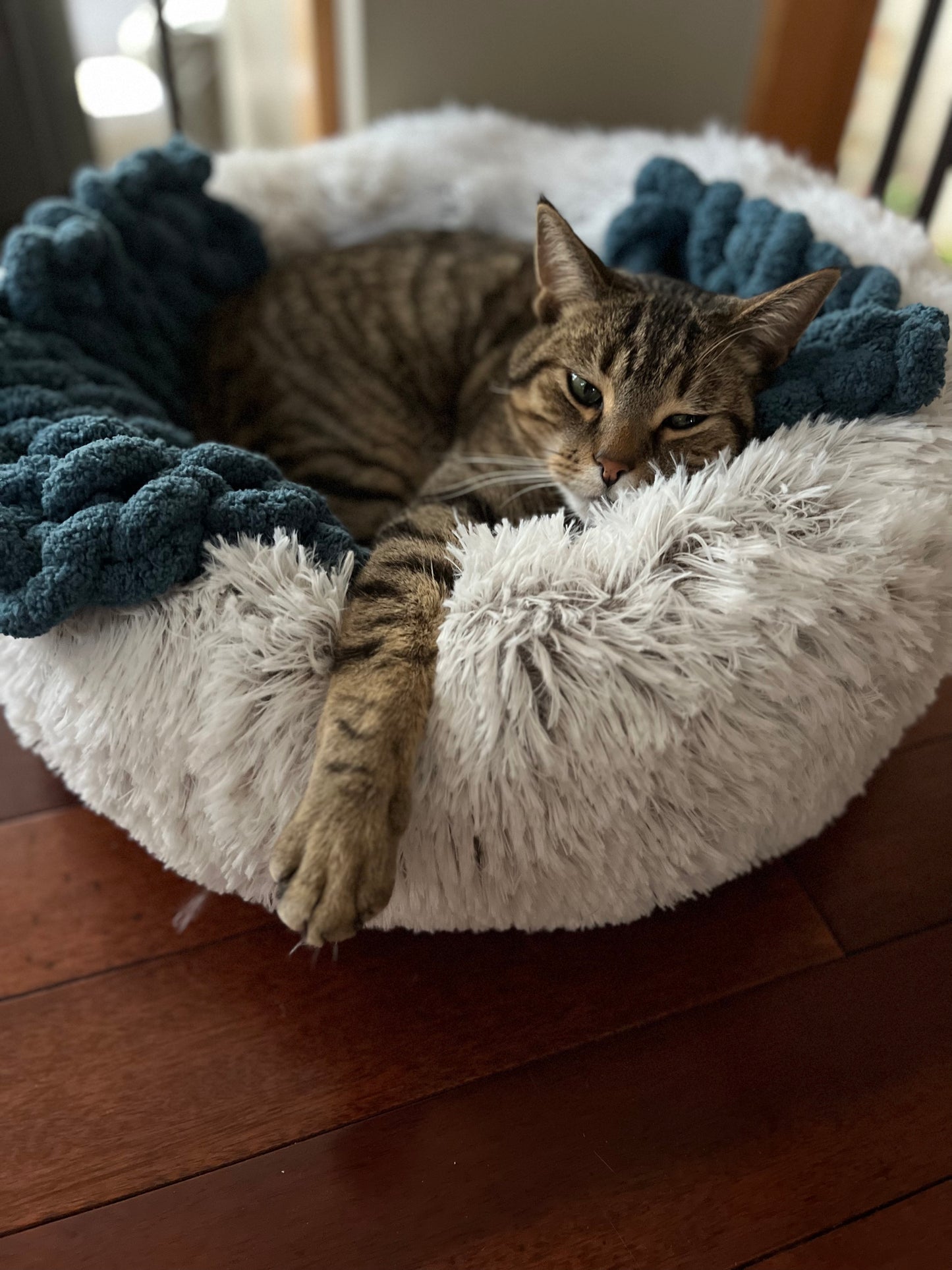 Calming Pet Blankets