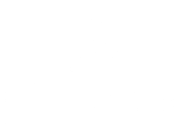 Dream Catcher – Pinecone Box