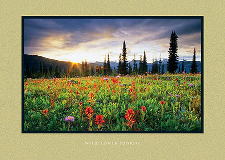 Wilderness Moments Greeting Cards