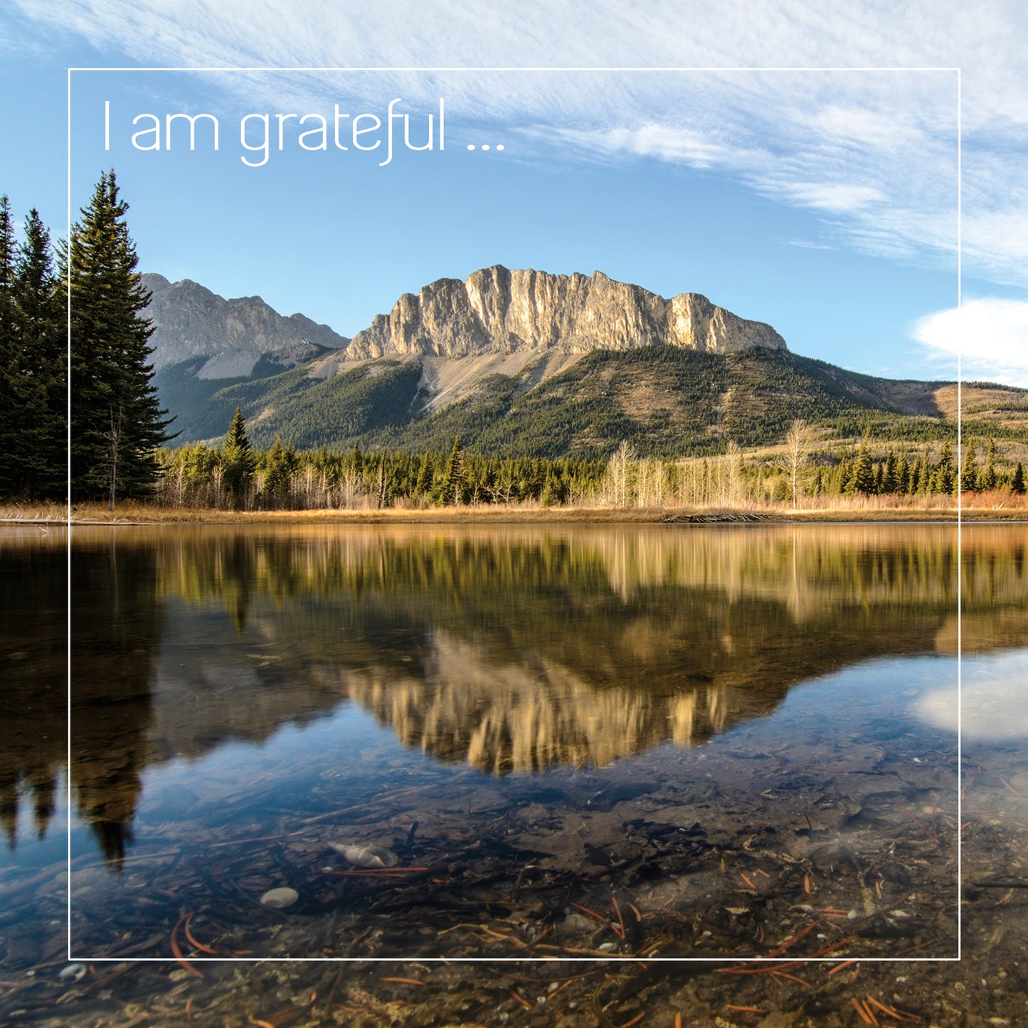 Gratitude Cards